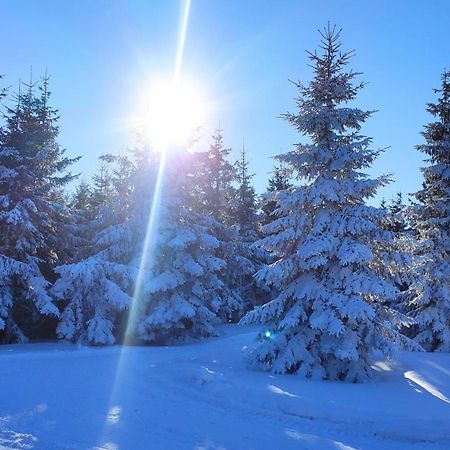 Domek Gloria Nad Jeziorem Zywieckim Dış mekan fotoğraf