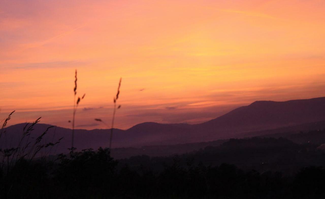 Domek Gloria Nad Jeziorem Zywieckim Dış mekan fotoğraf
