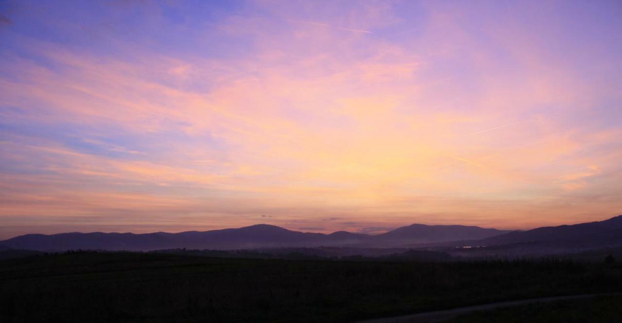 Domek Gloria Nad Jeziorem Zywieckim Dış mekan fotoğraf